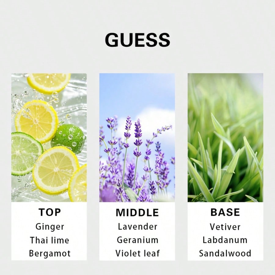 Guess Forever мужская туалетна – обзор и цена Fragrance Perfume Spray